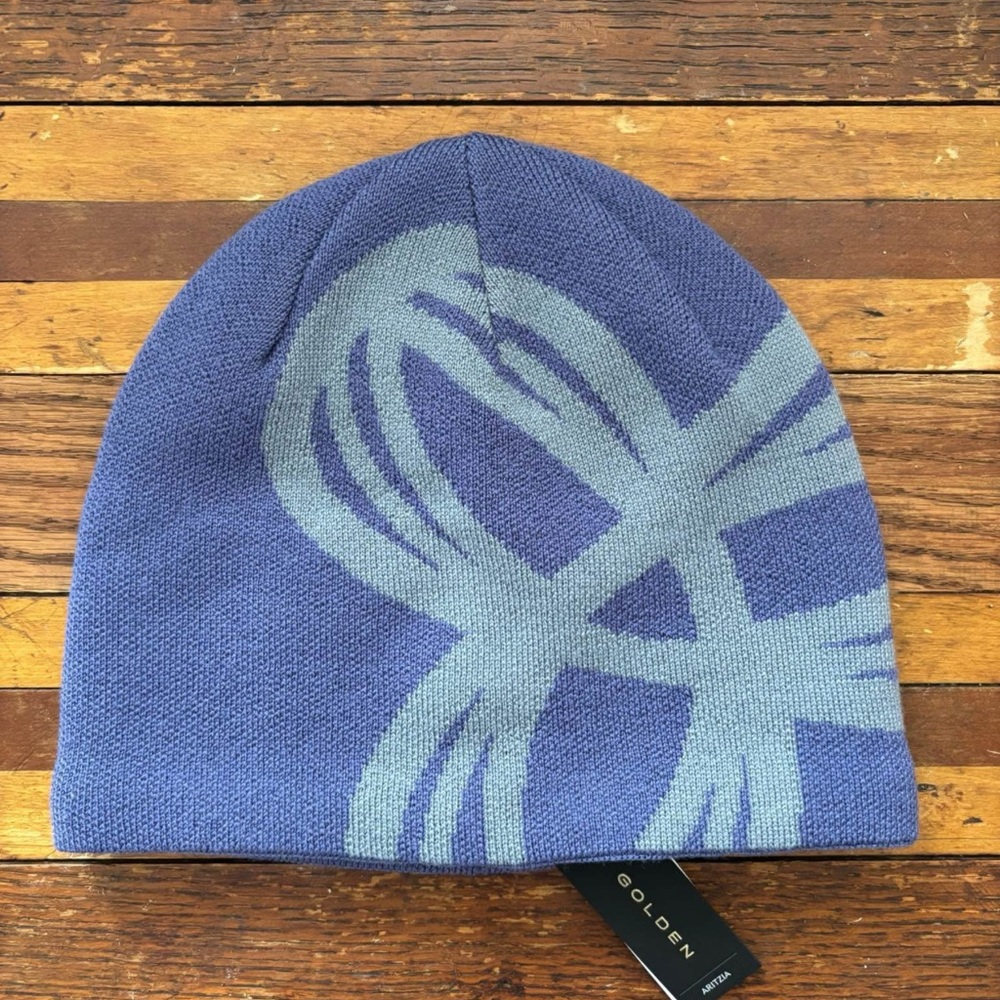 Golden Aritzia Blue Knit Hat